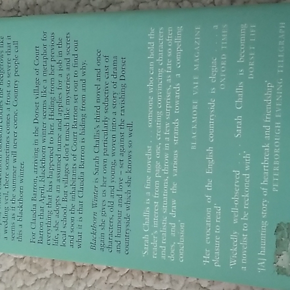 (10/$10) Blackthorn Winter by Sarah Challis - Picture 2 of 3